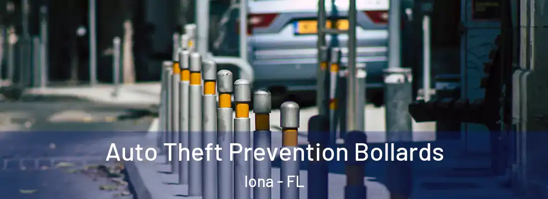 Auto Theft Prevention Bollards Iona - FL
