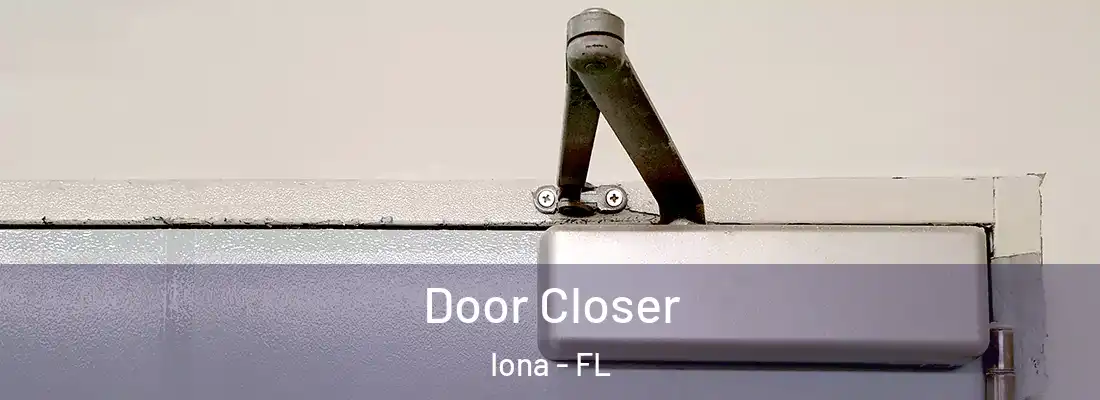  Door Closer Iona - FL