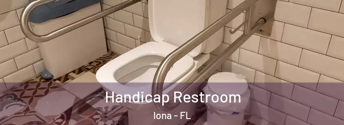  Handicap Restroom Iona - FL