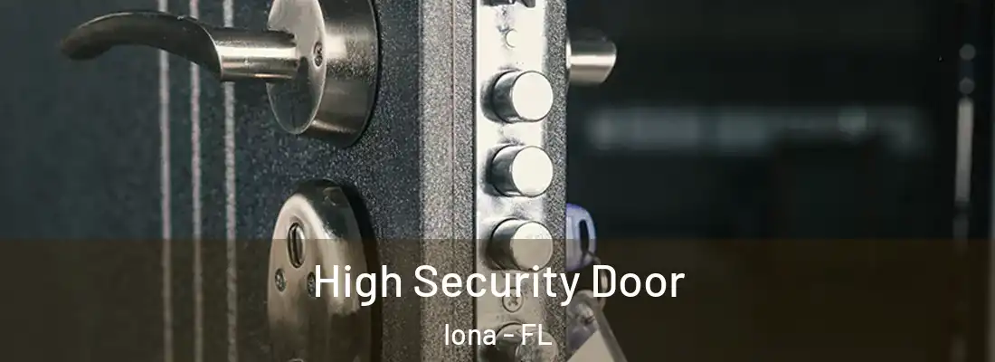  High Security Door Iona - FL