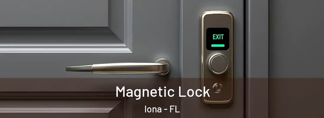  Magnetic Lock Iona - FL